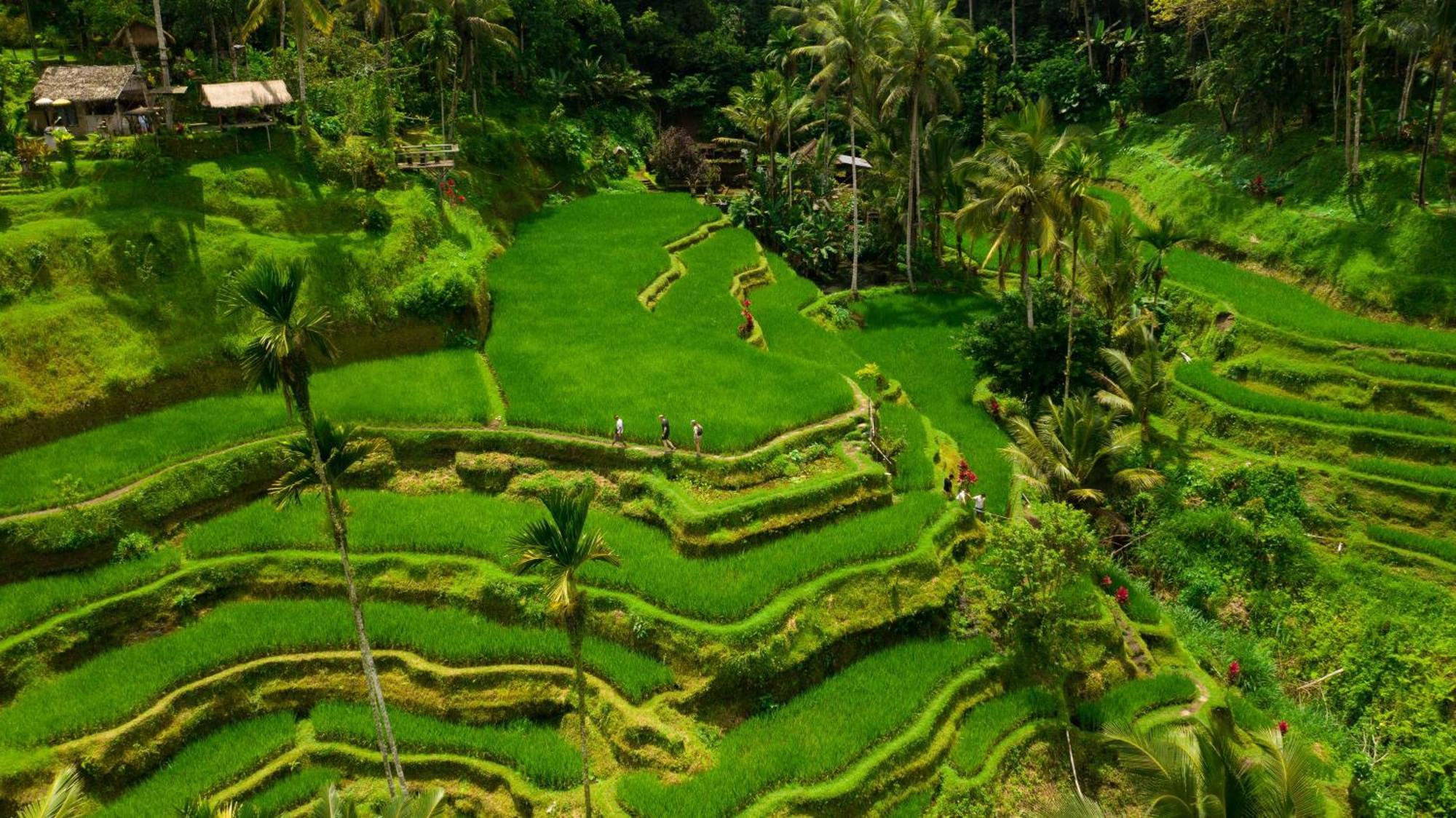 Alila Ubud Ґіаньяр Екстер'єр фото